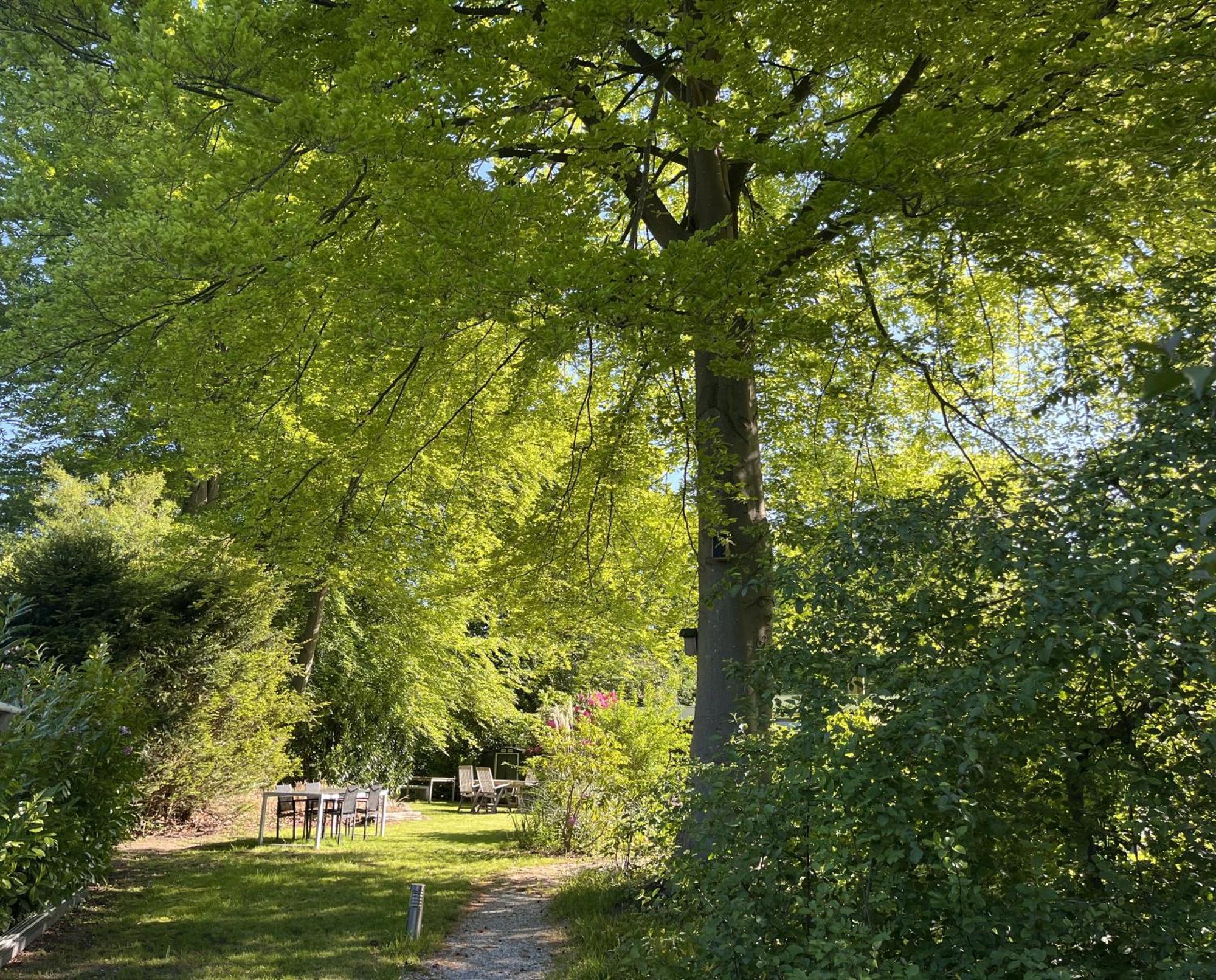Bungalowpark De Bremerberg * Biddinghuizen