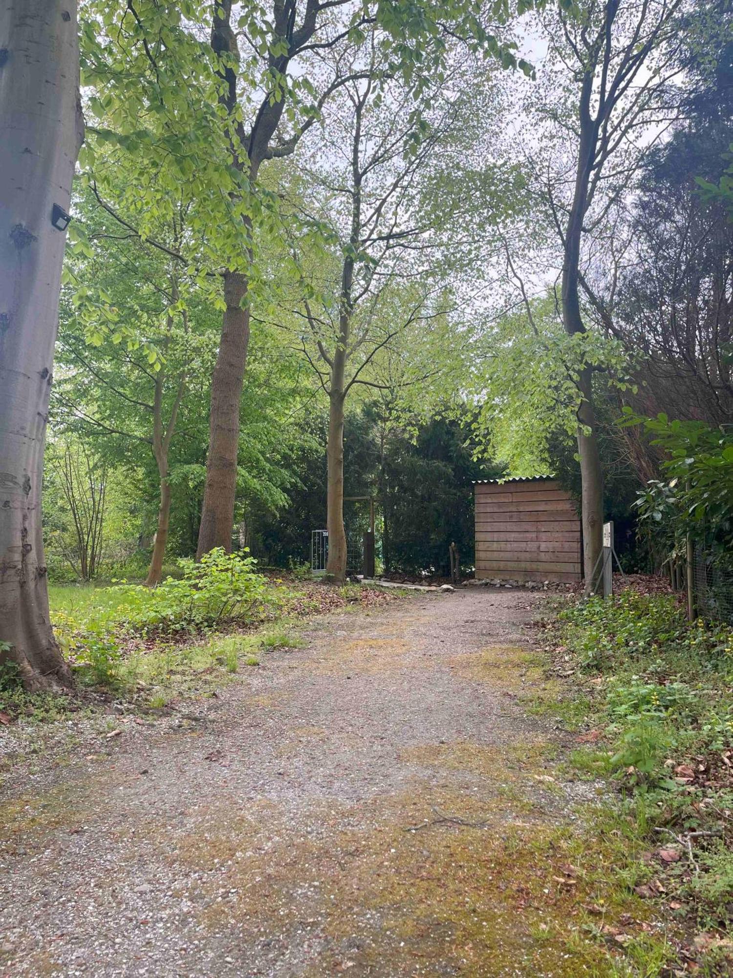 Bungalowpark De Bremerberg Holiday park